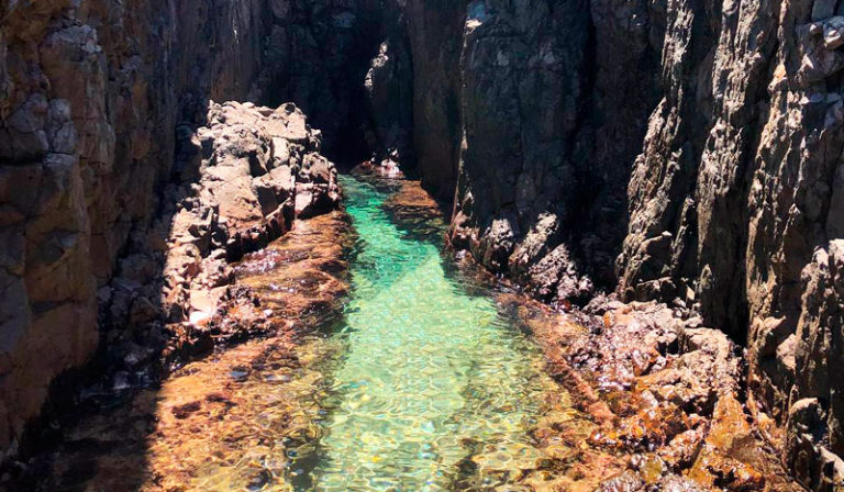 Piscinas Naturais Em Noronha Passeio Buraco Do Galego E Mais