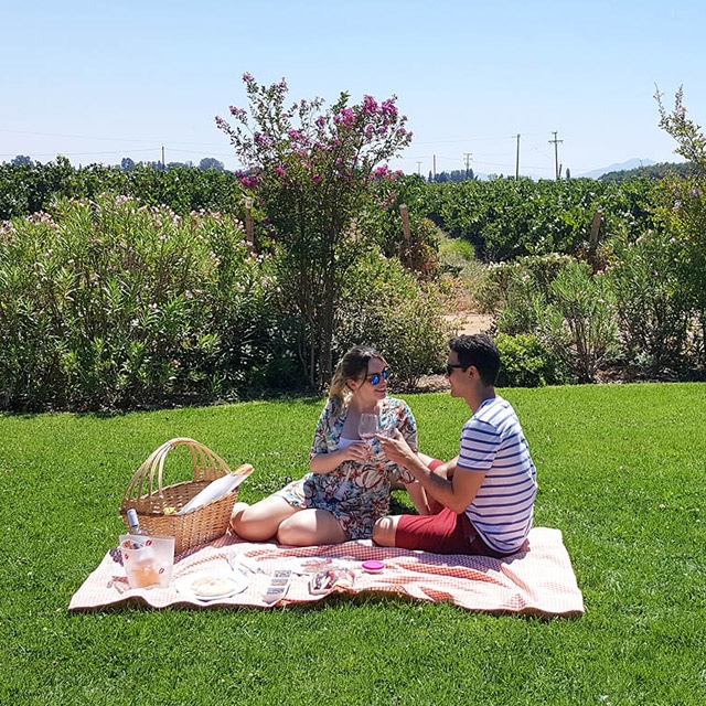 Pisada da uva, picnic e degustação na Vinícola MontGras, no Valle de Colchagua, Chile