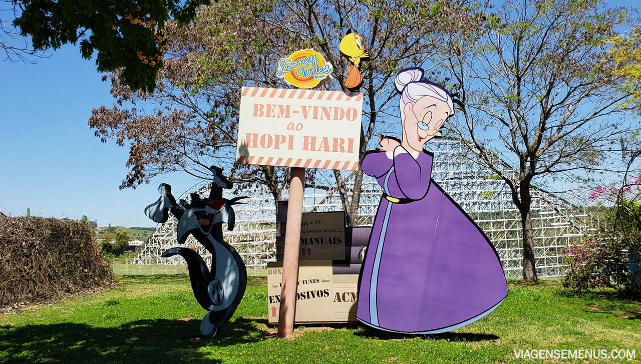 Hopi Hari, parque de diversão perto de São Paulo