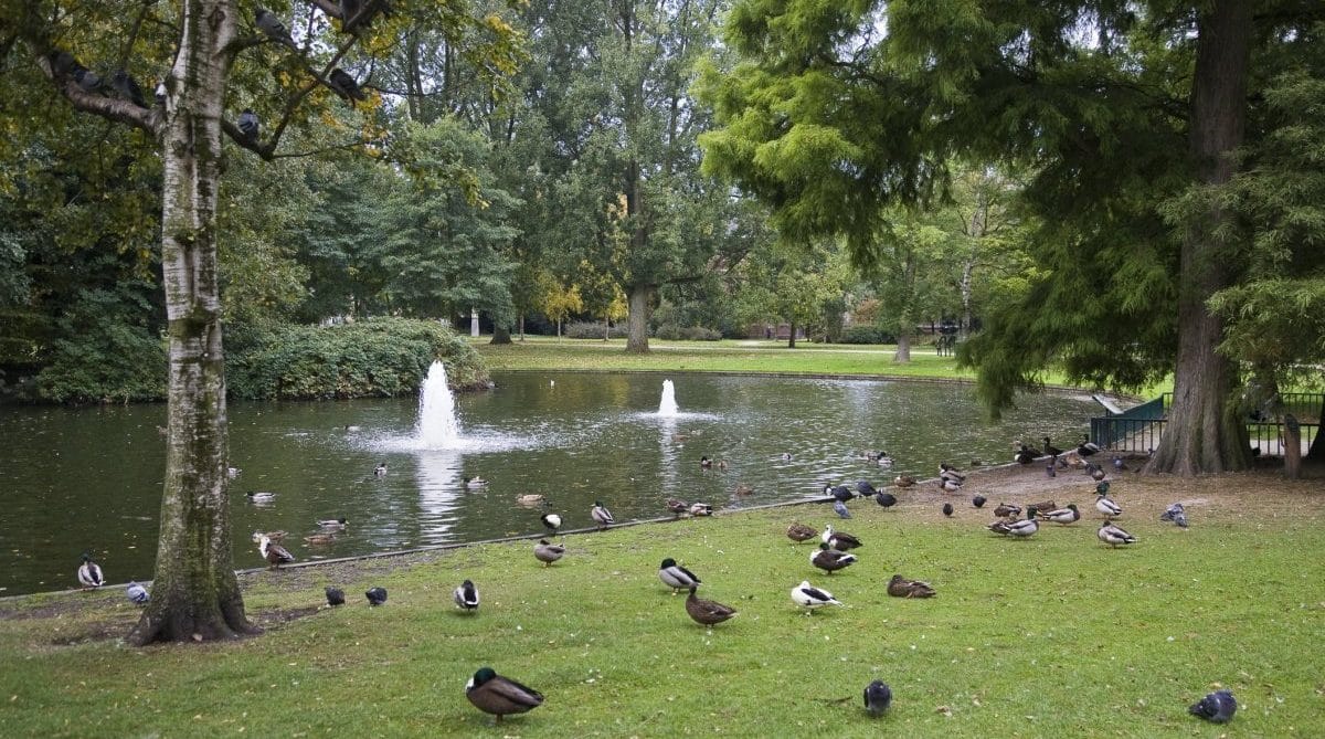 Westerpark, Amsterdã