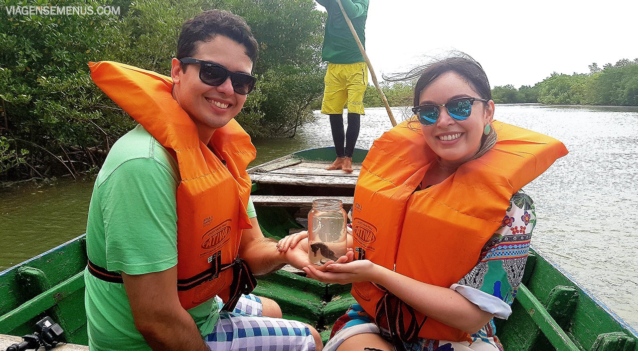 Passeio Litoral Oeste em Jericoacoara, Ceará - Passeio Cavalo Marinho