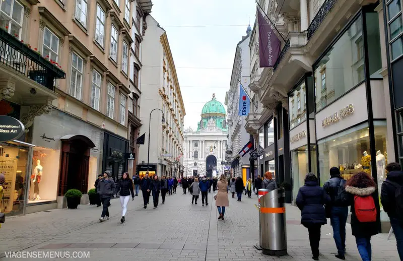 Museus em Viena - rua no centro de Viena com várias pessoas andando, prédios históricos e vista para o Palácio de Hufburg.