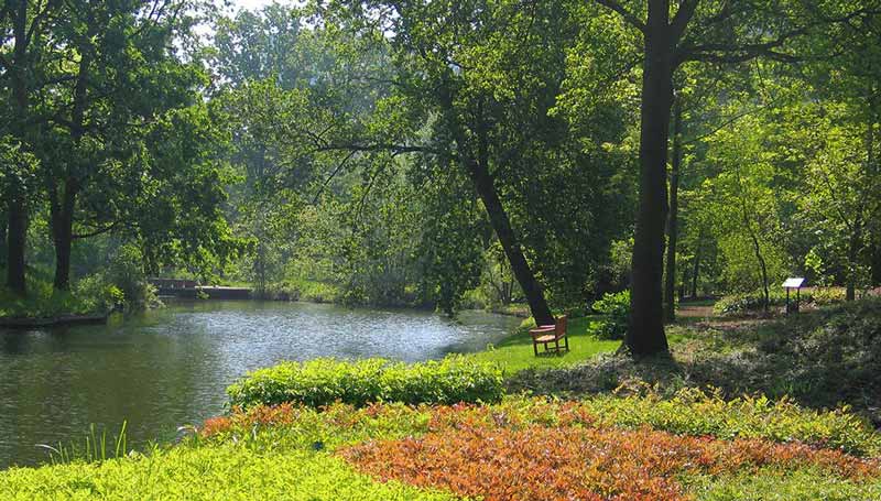 O que fazer em Utrecht, Holanda - Jardim Botânico
