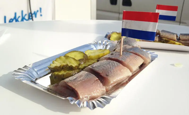 O que comer em Amsterdam - Haring, peixe Arenque - fatiado no prato com picles