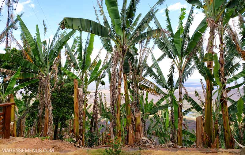 Rota Caminhos de História e Fé, Baturité, Ceará - várias bananeiras