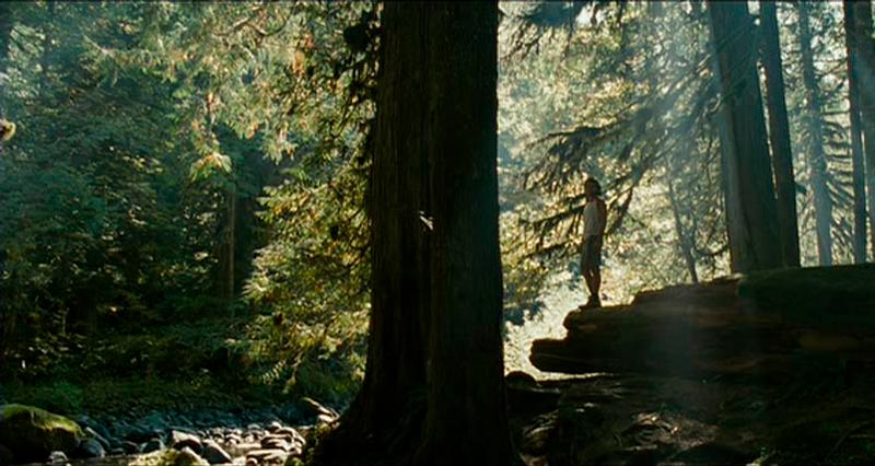 Filmes de viagem