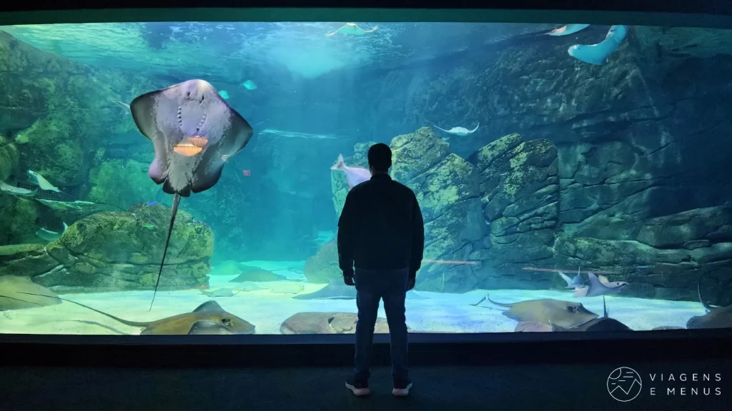 Ripleys Aquarium Toronto