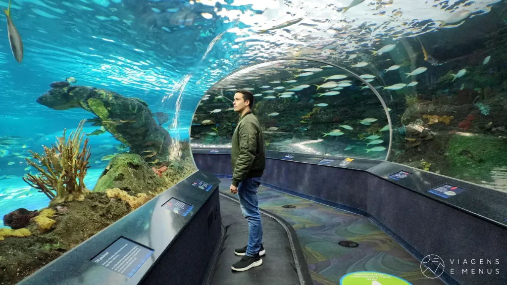 O que fazer em Toronto - Ripleys Aquarium