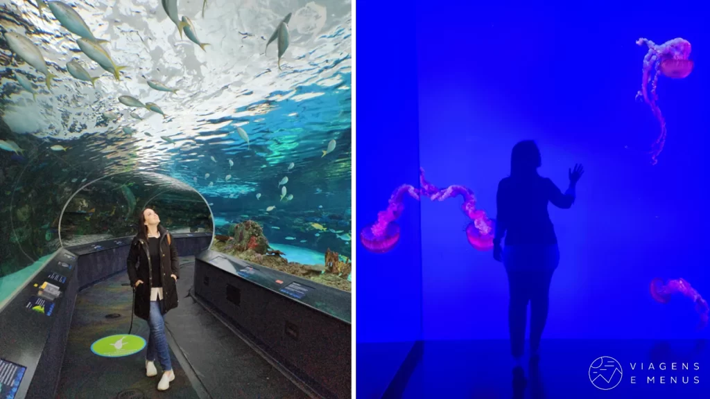 Atração em Toronto - Ripleys Aquarium