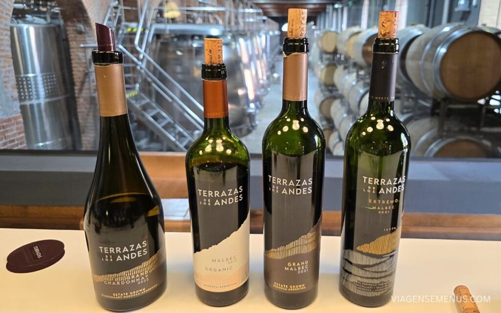 Vinícola Terrazas de los Andes, Mendoza