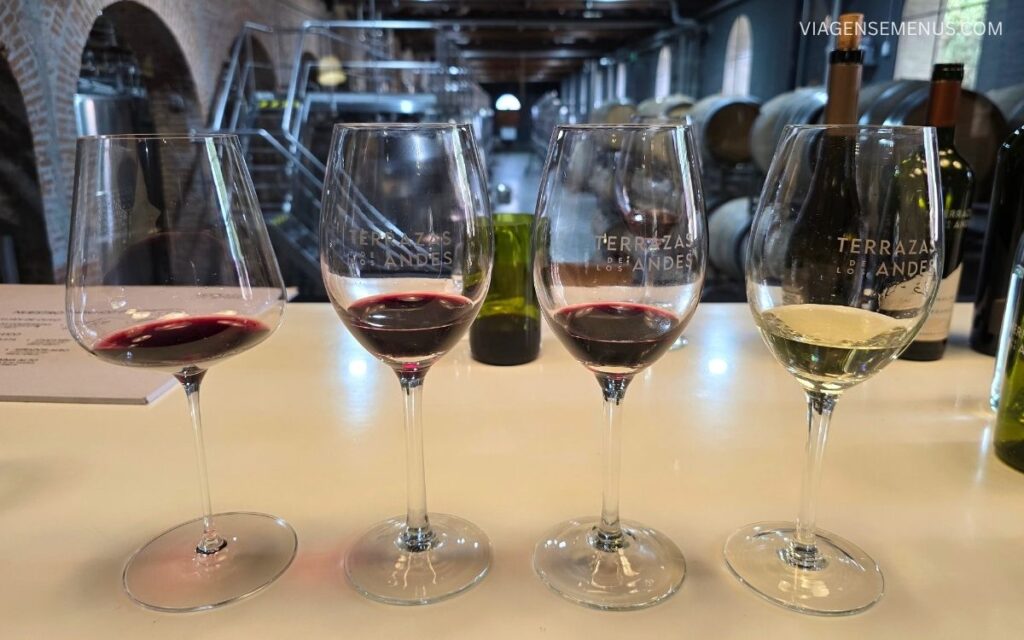 Vinícola Terrazas de los Andes, Mendoza