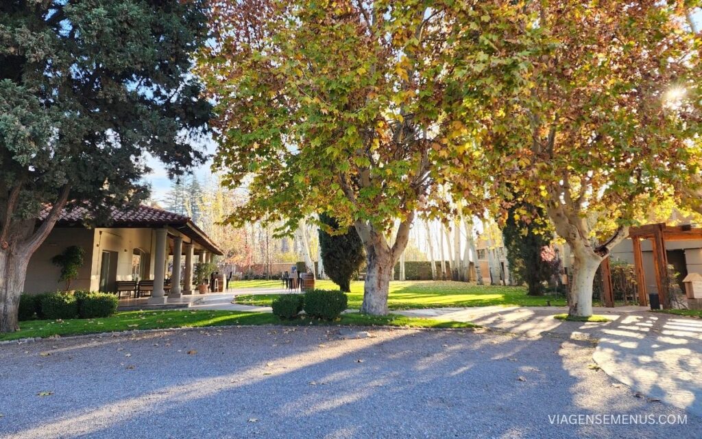 Vinícola Terrazas de los Andes, Mendoza