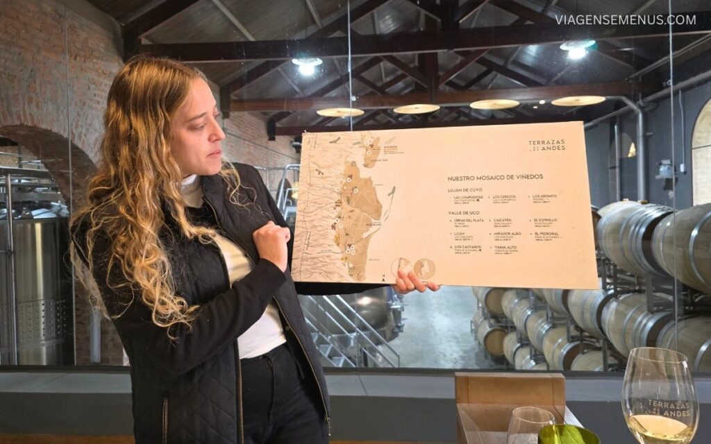 Vinícola Terrazas de los Andes, Mendoza