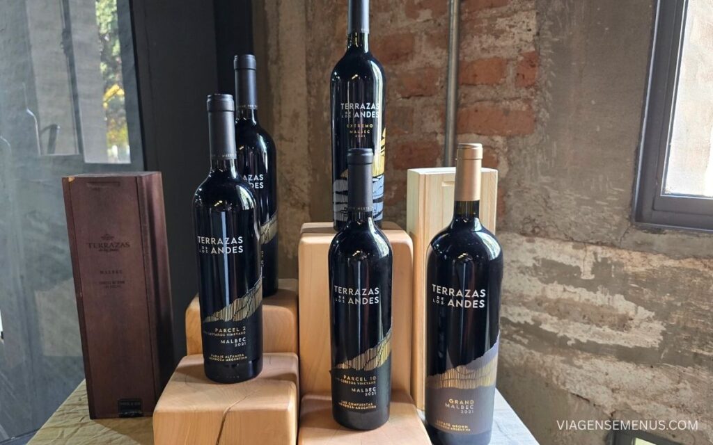 Vinícola Terrazas de los Andes, Mendoza