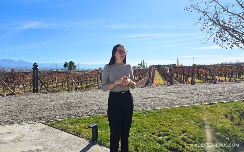 Viña Cobos, Mendoza