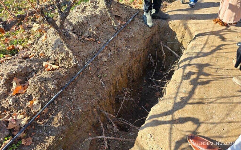 Vinícola Zuccardi Valle de Uco, Mendoza