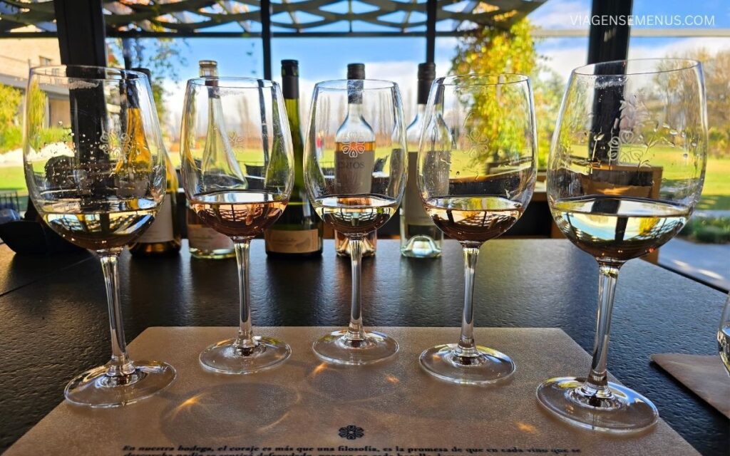 Vinícola Susana Balbo Wines, Mendoza