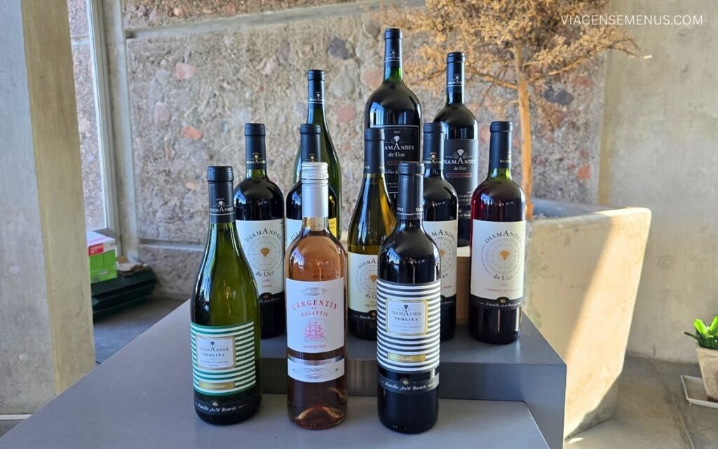 Vinícola em Mendoza - Bodega DiamAndes,, Vale do Uco