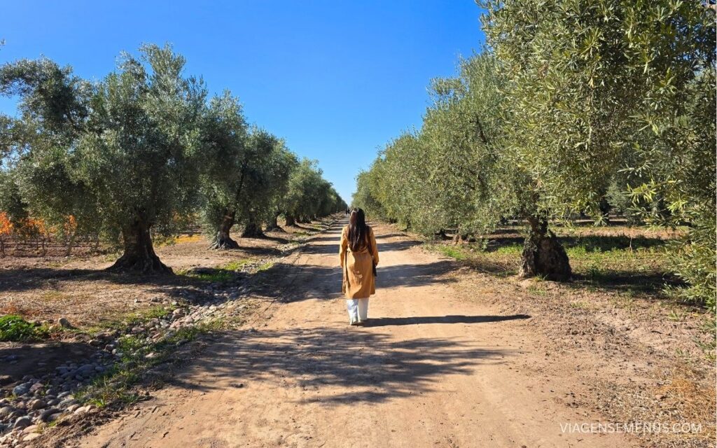 Vinícola em Mendoza Bodega Luigi Bosca