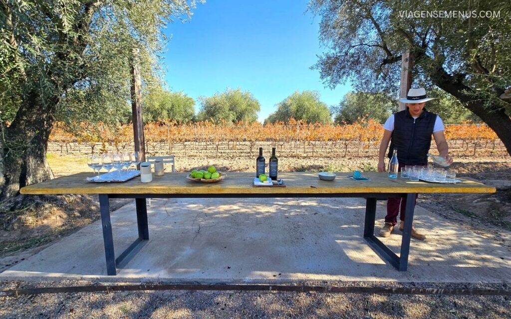 Vinícola em Mendoza Bodega Luigi Bosca