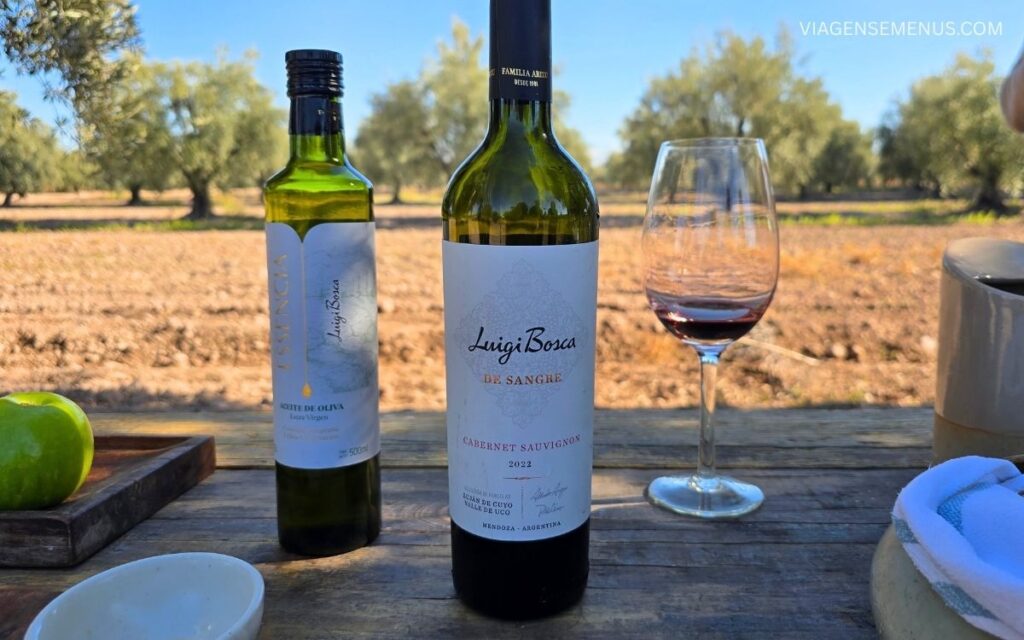 Vinícola em Mendoza Bodega Luigi Bosca