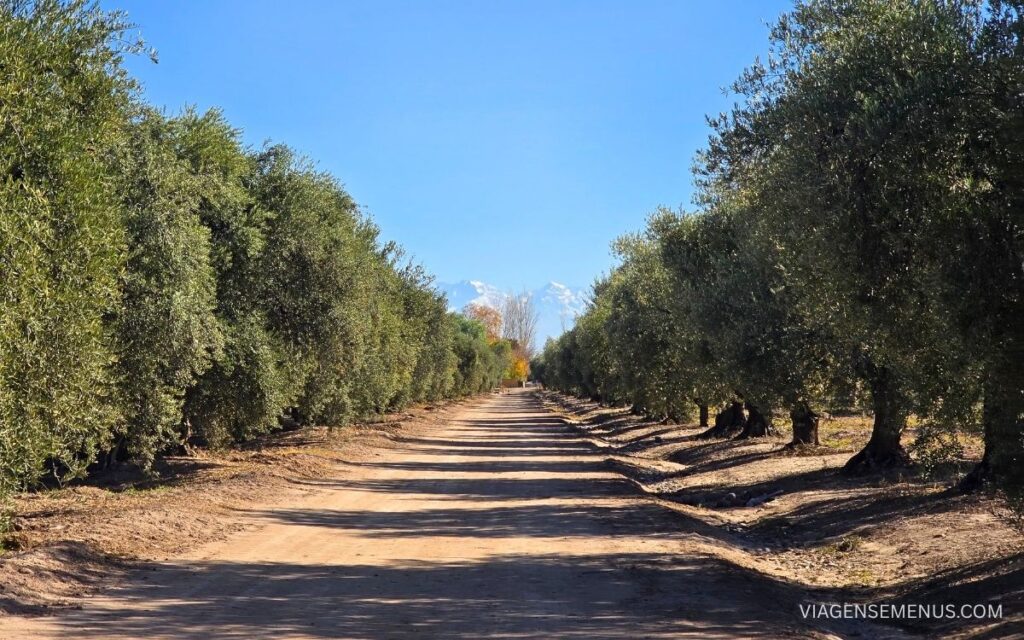 Vinícola em Mendoza Bodega Luigi Bosca