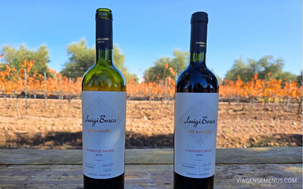 Vinícola em Mendoza Bodega Luigi Bosca