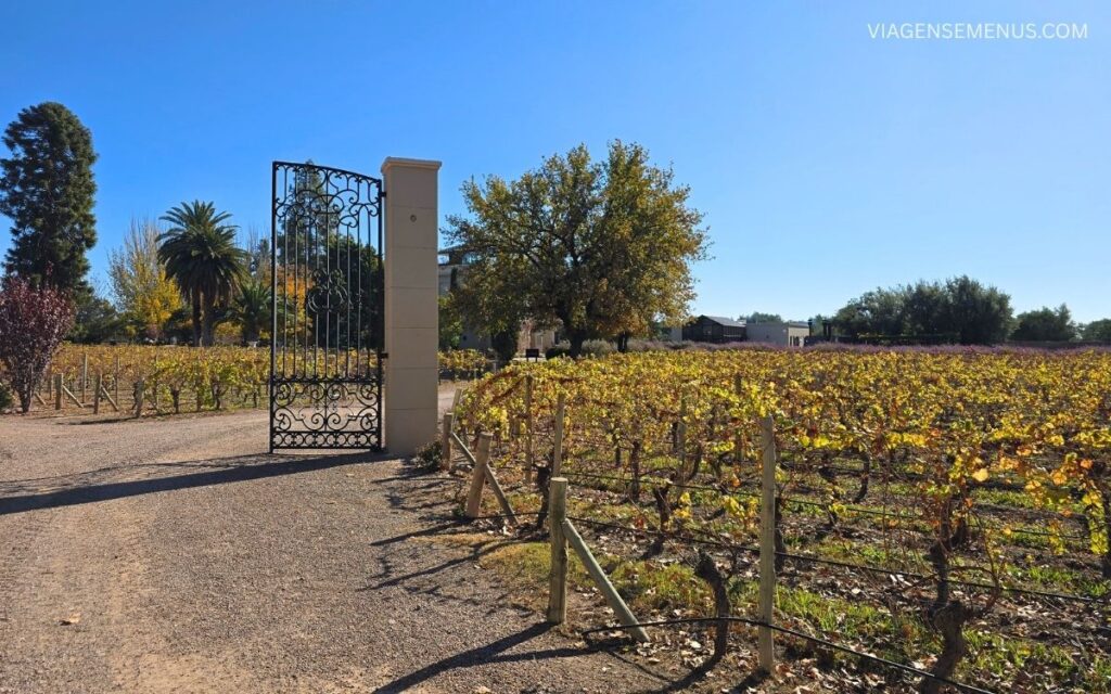 Vinícola em Mendoza Bodega Luigi Bosca