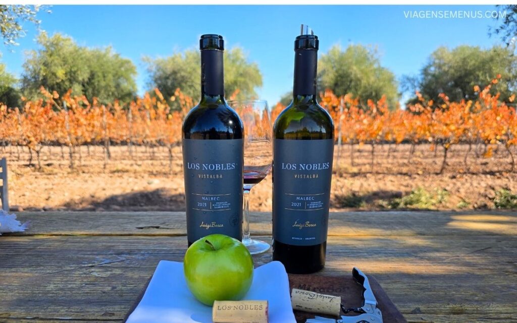 Vinícola em Mendoza Bodega Luigi Bosca